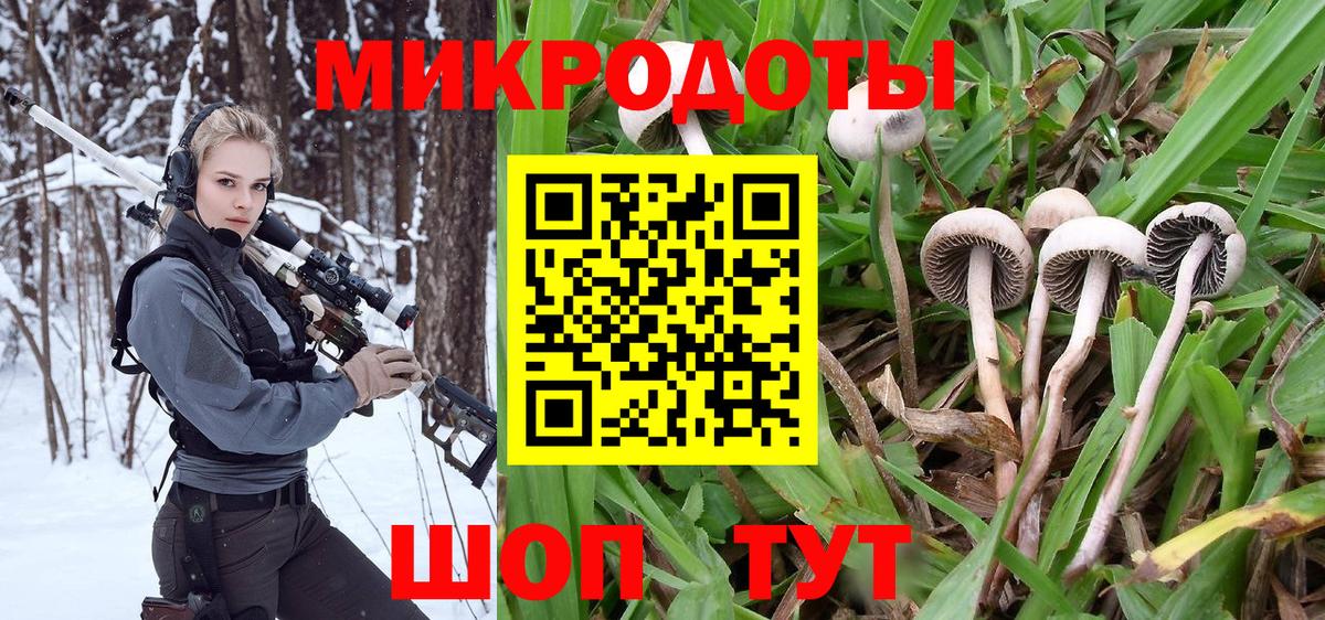 Псилоцибиновые грибы Magic Shrooms  Вход с VPN  Отрадное 